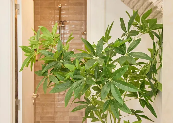 Mspc Alfama Cozy Corner * Lisboa